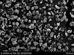 KTL-9N 電子顕微鏡写真