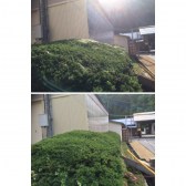 5S_201607_032