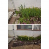 5S_201607_038