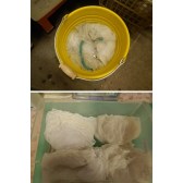 5S_202302_008
